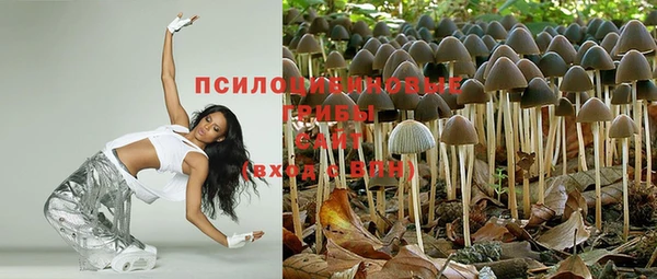 бутират Богородицк