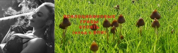 мефедрон мука Богданович