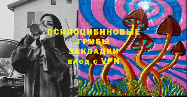 прущая мука Богородск