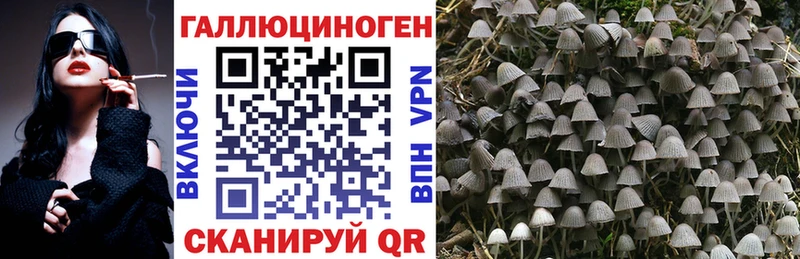 Купить Дятьково Псилоцибиновые грибы прущие грибы